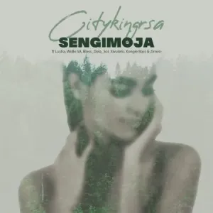 Citykingrsa-–-Sengimoja-ft.-Lusha-Xiluvelo-Welle-SA-Bless-DeLa-Sol-Xongie-Bass-Zimvo