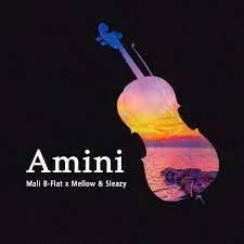 Mali-B-flat-Mellow-Sleazy-–-Amini
