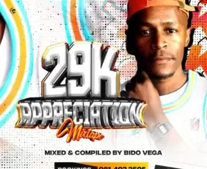 Bido-Vega-–-29k-Appreciation-Mix-300x300