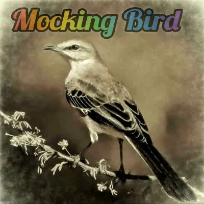 Luxury-SA-–-Mocking-Bird