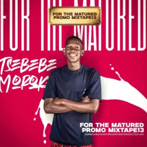 Tsebebe-Moroke-–-For-The-Matured-Promo-Mixtape-100-Production-Mix-13-300x300